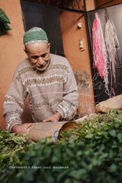 Image du Maroc Professionnelle de  Un des anciens vendeurs de naanah (Menthe) prépare pour un client une botte de menthe fraiche et de plantes aromatiques à l’entrée du souk Semmarine de Marrakech, le 11 Décembre 2011. Jadis quand les autocars avaient leur terminus sur la place Jemaa Al fana, lors d’un court ou long séjour dans la ville ocre, la plupart des visiteurs se ravitaillaient en menthe fraiche et en plantes aromatiques en guise de cadeau (barouk) de Marrakech. De nombreux commerçants étaient installés à l’entrée du Souk Semmarine. Ils vendaient aussi ces mêmes plantes séchées par les infusions. (Photo / Abdeljalil Bounhar)

